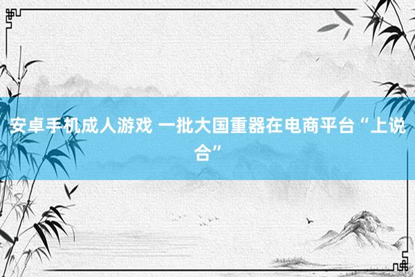 安卓手机成人游戏 一批大国重器在电商平台“上说合”