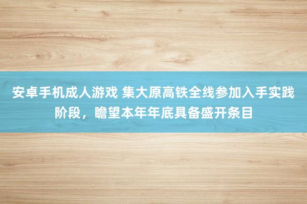 安卓手机成人游戏 集大原高铁全线参加入手实践阶段，瞻望本年年底具备盛开条目