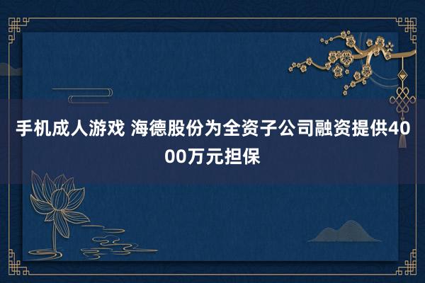 手机成人游戏 海德股份为全资子公司融资提供4000万元担保