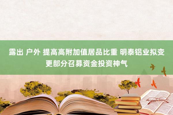 露出 户外 提高高附加值居品比重 明泰铝业拟变更部分召募资金投资神气