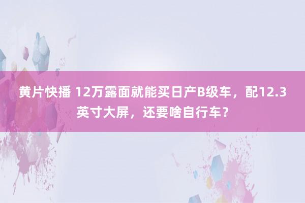 黄片快播 12万露面就能买日产B级车，配12.3英寸大屏，还要啥自行车？