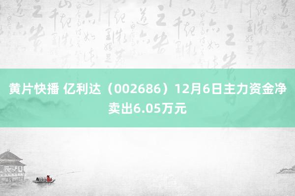 黄片快播 亿利达（002686）12月6日主力资金净卖出6.05万元