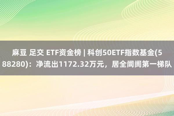 麻豆 足交 ETF资金榜 | 科创50ETF指数基金(588280)：净流出1172.32万元，居全阛阓第一梯队