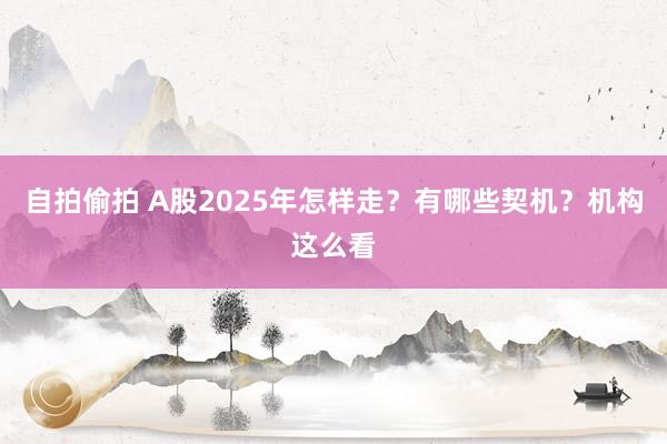 自拍偷拍 A股2025年怎样走？有哪些契机？机构这么看