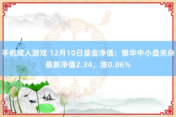 手机成人游戏 12月10日基金净值：银华中小盘夹杂最新净值2.34，涨0.86%