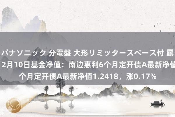 パナソニック 分電盤 大形リミッタースペース付 露出・半埋込両用形 12月10日基金净值：南边惠利6个月定开债A最新净值1.2418，涨0.17%