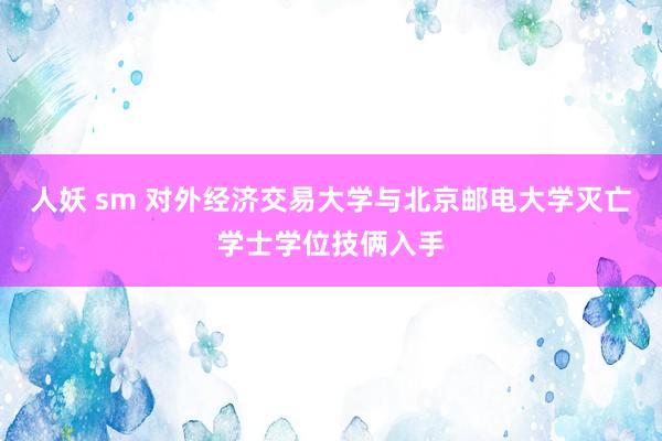 人妖 sm 对外经济交易大学与北京邮电大学灭亡学士学位技俩入手