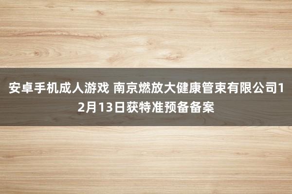 安卓手机成人游戏 南京燃放大健康管束有限公司12月13日获特准预备备案