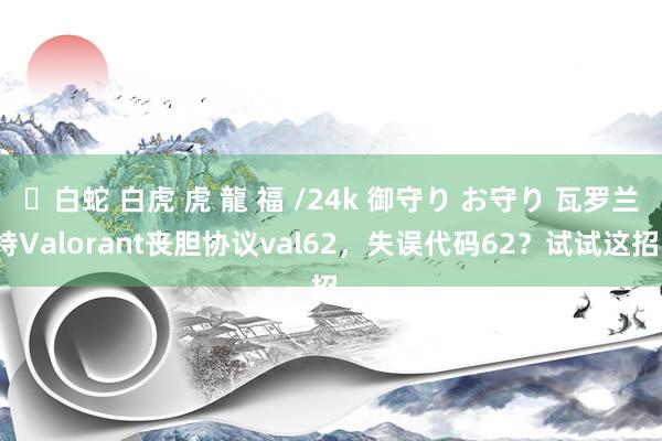 ✨白蛇 白虎 虎 龍 福 /24k 御守り お守り 瓦罗兰特Valorant丧胆协议val62，失误代码62？试试这招。