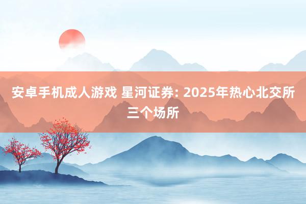 安卓手机成人游戏 星河证券: 2025年热心北交所三个场所