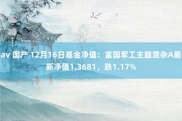 av 国产 12月16日基金净值：富国军工主题混杂A最新净值1.3681，跌1.17%