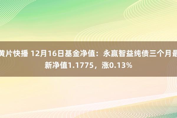 黄片快播 12月16日基金净值：永赢智益纯债三个月最新净值1.1775，涨0.13%