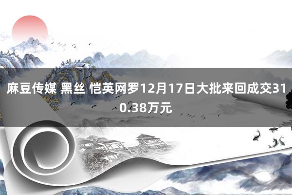 麻豆传媒 黑丝 恺英网罗12月17日大批来回成交310.38万元