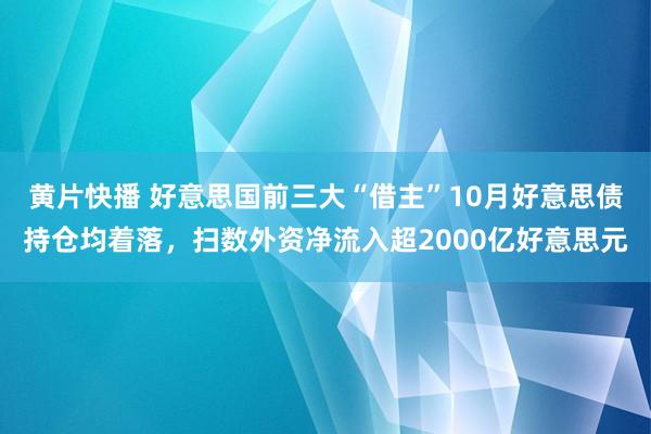 黄片快播 好意思国前三大“借主”10月好意思债持仓均着落，扫数外资净流入超2000亿好意思元