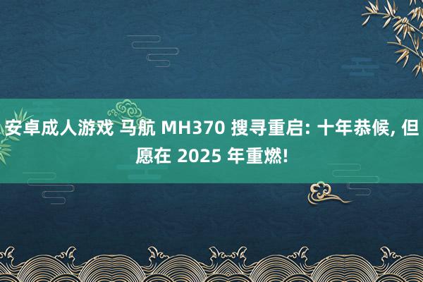 安卓成人游戏 马航 MH370 搜寻重启: 十年恭候， 但愿在 2025 年重燃!