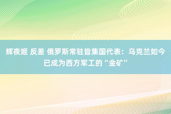 辉夜姬 反差 俄罗斯常驻皆集国代表：乌克兰如今已成为西方军工的“金矿”