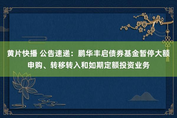 黄片快播 公告速递：鹏华丰启债券基金暂停大额申购、转移转入和如期定额投资业务