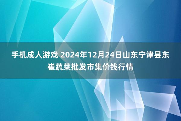 手机成人游戏 2024年12月24日山东宁津县东崔蔬菜批发市集价钱行情