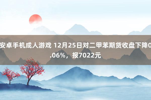 安卓手机成人游戏 12月25日对二甲苯期货收盘下降0.06%，报7022元