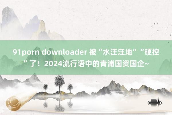 91porn downloader 被“水汪汪地”“硬控”了！2024流行语中的青浦国资国企~