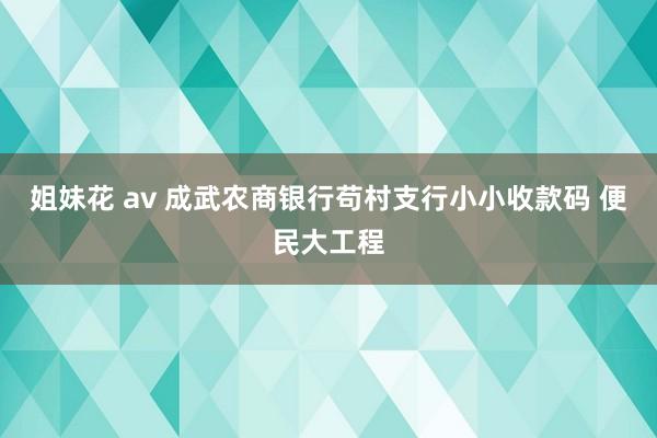 姐妹花 av 成武农商银行苟村支行小小收款码 便民大工程