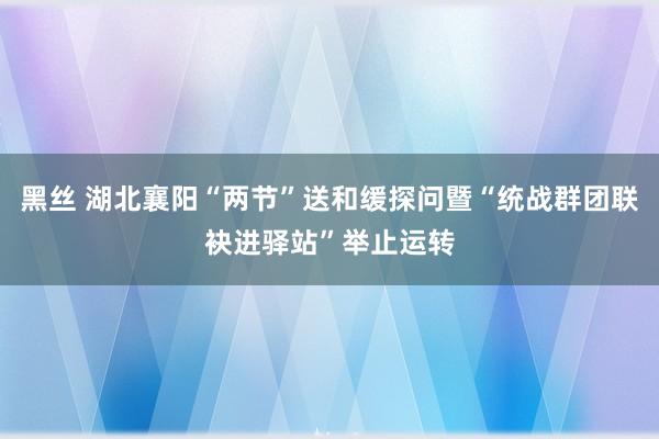 黑丝 湖北襄阳“两节”送和缓探问暨“统战群团联袂进驿站”举止运转