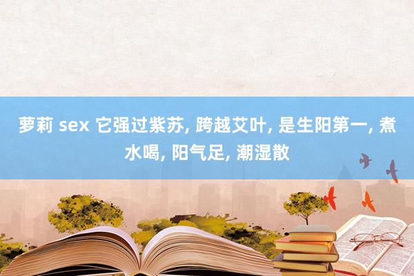 萝莉 sex 它强过紫苏， 跨越艾叶， 是生阳第一， 煮水喝， 阳气足， 潮湿散