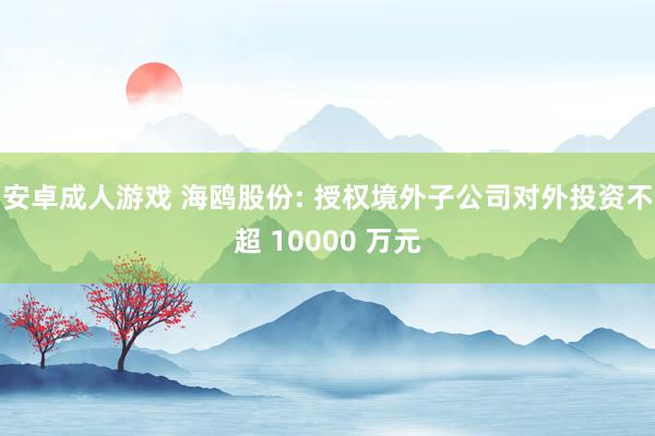 安卓成人游戏 海鸥股份: 授权境外子公司对外投资不超 10000 万元