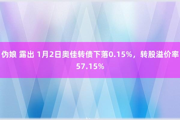 伪娘 露出 1月2日奥佳转债下落0.15%，转股溢价率57.15%