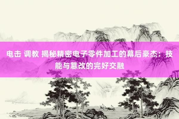 电击 调教 揭秘精密电子零件加工的幕后豪杰：技能与篡改的完好交融