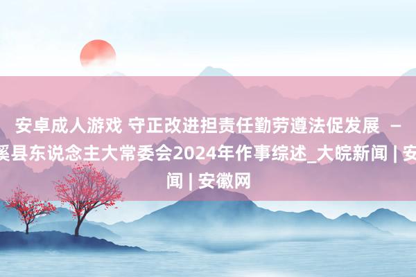 安卓成人游戏 守正改进担责任　勤劳遵法促发展  ——濉溪县东说念主大常委会2024年作事综述_大皖新闻 | 安徽网