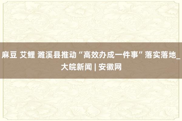 麻豆 艾鲤 濉溪县推动“高效办成一件事”落实落地_大皖新闻 | 安徽网