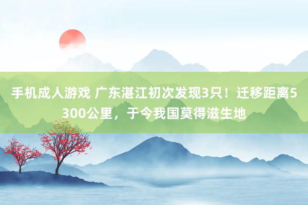 手机成人游戏 广东湛江初次发现3只！迁移距离5300公里，于今我国莫得滋生地