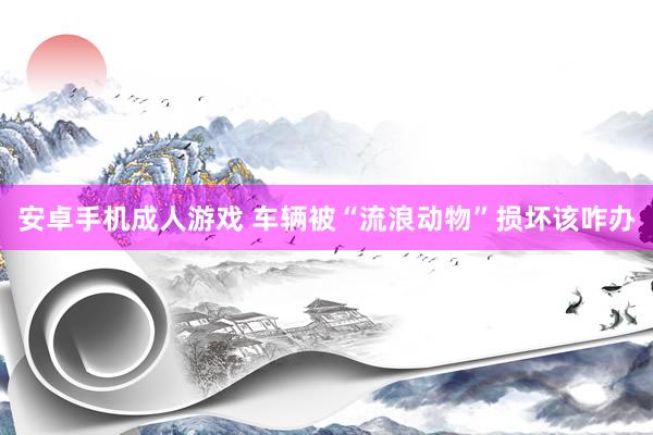 安卓手机成人游戏 车辆被“流浪动物”损坏该咋办