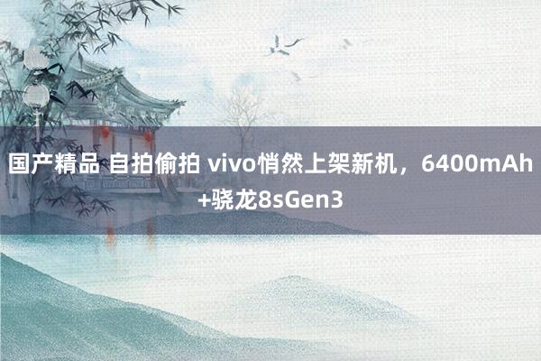 国产精品 自拍偷拍 vivo悄然上架新机，6400mAh+骁龙8sGen3