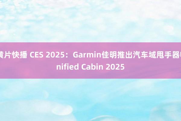 黄片快播 CES 2025：Garmin佳明推出汽车域甩手器Unified Cabin 2025