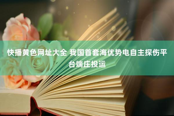 快播黄色网址大全 我国首套海优势电自主探伤平台端庄投运