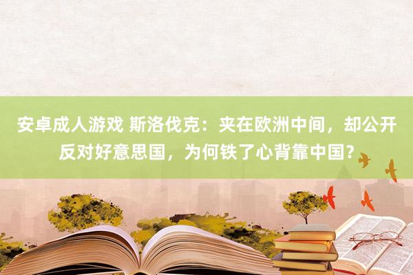 安卓成人游戏 斯洛伐克：夹在欧洲中间，却公开反对好意思国，为何铁了心背靠中国？