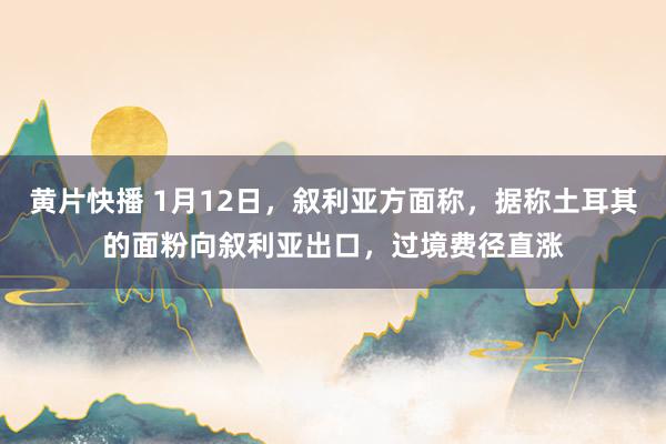 黄片快播 1月12日，叙利亚方面称，据称土耳其的面粉向叙利亚出口，过境费径直涨