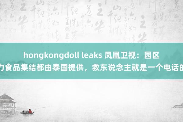 hongkongdoll leaks 凤凰卫视：园区电力食品集结都由泰国提供，救东说念主就是一个电话的事