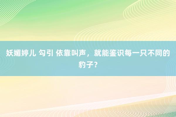 妖媚婷儿 勾引 依靠叫声，就能鉴识每一只不同的豹子？