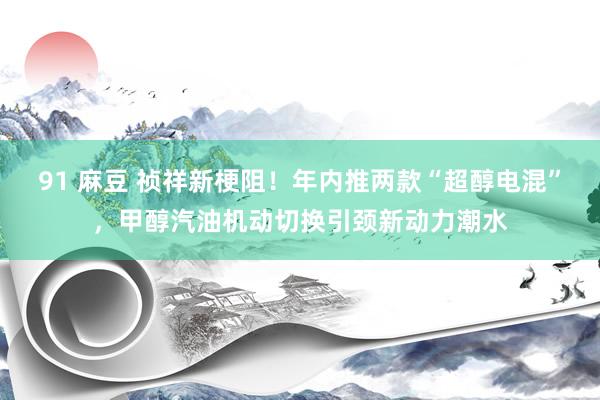 91 麻豆 祯祥新梗阻！年内推两款“超醇电混”，甲醇汽油机动切换引颈新动力潮水