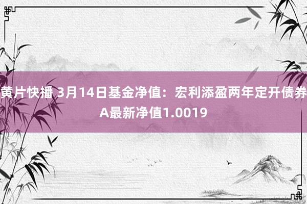 黄片快播 3月14日基金净值：宏利添盈两年定开债券A最新净值1.0019